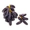 sweet black sapphire grapes on white background