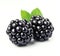 Sweet blackberries