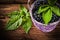 Sweet blackberries in basket leaf on vintage wooden board