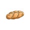 Sweet braided bread isolated sketch