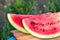 Sweet bright rich red watermelon