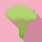 Sweet brocoli icon flat vector. Broccoli cabbage