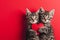 Sweet Canine Love: Adorable Dogs Holding Red Heart on Valentine\\\'s Day