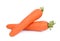 Sweet carrot isolated on the white