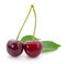 Sweet cherries with stem and leaves