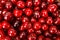 Sweet cherry berries background (Prunus avium)