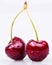 Sweet cherry macro background