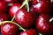 Sweet cherry macro photography close up. Antioxidant, natural, organic berry. Selective focus. Drops of water on the