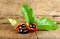 Sweet chestnuts (Sterculia monosperma) on wooden background