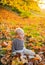 Sweet childhood memories. Child autumn leaves background. Warm moments of autumn. Toddler boy blue eyes enjoy autumn