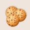 Sweet choco chip cookies with chocolate dots vector illustration.