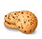 Sweet choco chip cookies with chocolate dots vector illustration.