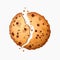 Sweet choco chip cookies with chocolate dots vector illustration.