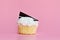 Sweet Coconut Cupcake with Chocolate Wedge