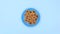 Sweet cookies in blue plate move in circle on blue theme. Stop motion