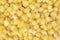 Sweet corn background texture. Pickled corn. Steamed sweet corn seed pattern. Corn surface
