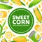 Sweet corn banner template. Natural organic farm product card, poster, packaging design cartoon vector