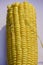 Sweet corn on the cob. Closeup of sweet corn maize. Sweet corn maize kept for sale in the market. Texture of cereals on corn maize