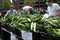 Sweet Corn on the Cob at Farmer\'s Market