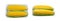 Sweet Corn Ears Isolated, Maize Cob Cut, Autumn Sweetcorn