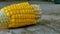 Sweet corn is a favorite food Indonesian people