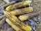 Sweet corn roasted from firewood in India testy healthy food