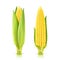 Sweet Corn Set