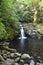 Sweet Creek Falls Waterfall along Hiking Trail Complex near Mapleton Oregon.