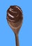 The sweet dark chocolate spoon detail.