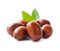 Sweet dates fruits. Jujube fruits