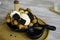 Sweet dessert mix waffle vanilla ice cream banana cake. food contain in black bowl on wooden tray. chocolate cone decorative in bl