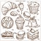 Sweet desserts, cakes and bakery cupcakes sketch icons.