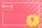 Sweet donuts vector banner lettering illustration on coral background with yellow donuts.