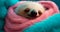 Sweet Dreams: Baby Sloth in Pink Blanket