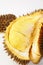 Sweet durian