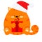 Sweet fat smiling little ginger striped cat with red gift in Santa Claus red christmas hat isolated on white background.