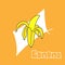 Sweet and Fresh: Banana-hand Drawn Lettering with Banana Fruit Illustration - Doodle Art for Wallpaper and Poster