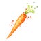 Sweet fresh carrot watercolor illustration