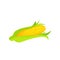 Sweet fresh corn cartoon vector Illustration
