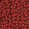 Sweet fresh raspberries closeup