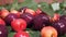 Sweet fresh red and yellow cherries with water drops and green leaves