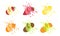 Sweet Fruits and Berries with Splashes Set, Apple, Strawberry, Lemon, Orange, Kiwi, Kiwano, Melon Vector Illustration