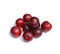 Sweet fruits - dark red plums  on white