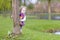 Sweet funny toddler girl hiding behind tree in park