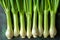 Sweet Garleek is a garlic and leek hybrid that combines the sweetness of onions with the rich flavor of garlic. On a