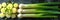 Sweet Garleek is a garlic and leek hybrid that combines the sweetness of onions with the rich flavor of garlic. Banner.