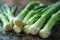 Sweet Garleek is a garlic and leek hybrid that combines the sweetness of onions with the rich flavor of garlic. Located