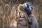 Sweet girl in a cap with the deer in autumn in a field of dry grass