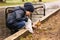 Sweet girl feeding a squirrel in the park