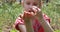 A sweet girl is holding strawberry on the palm and eating.